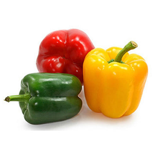 Iran Bell pepper